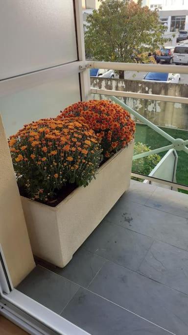 Appt Centre Ville "Parc Olympe De Gouges" Avec Garage Annemasse Dış mekan fotoğraf